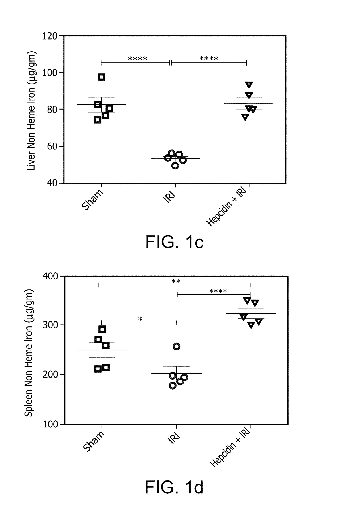 Compositions and methods for protecting the kidney from ischemia reperfusion injury