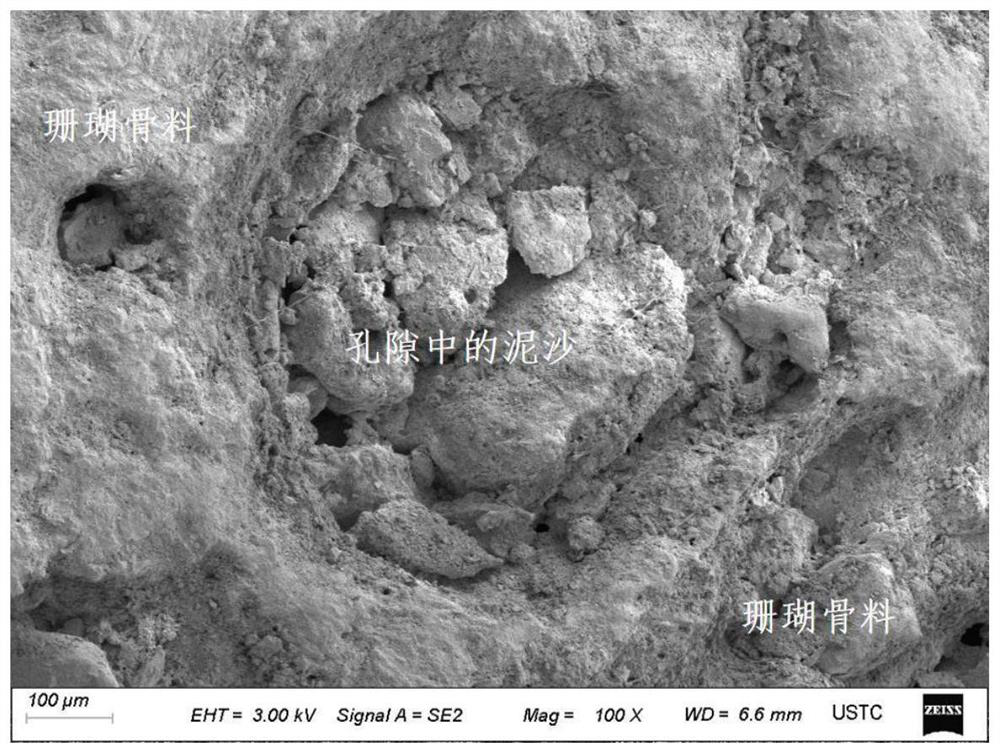 Preparation methods of chemical micro-corroded coral aggregate and geopolymer-based ultrahigh-strength coral concrete