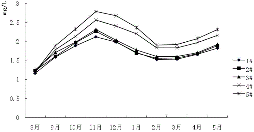 Method for Ecological Breeding of Macrobrachium japonicus and Channa japonica in Ponds Using Artificial Ecological Base