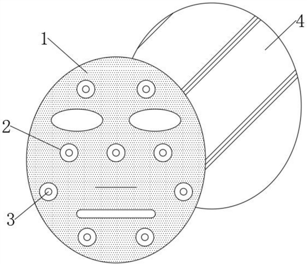 High-absorption-rate encapsulated facial mask