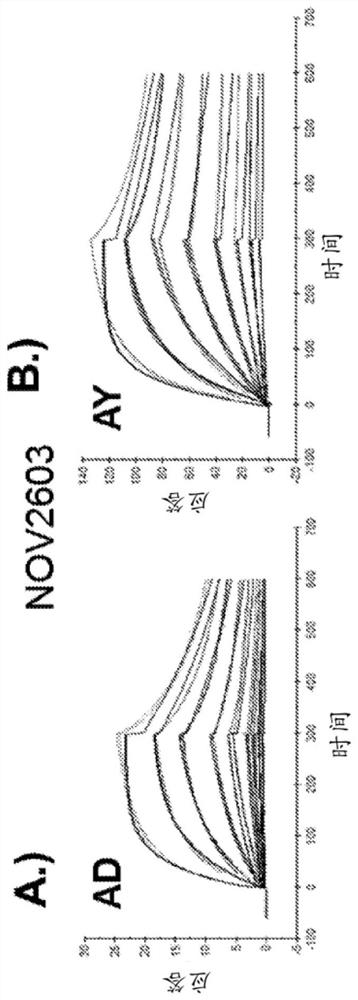 Hepatitis b antibodies