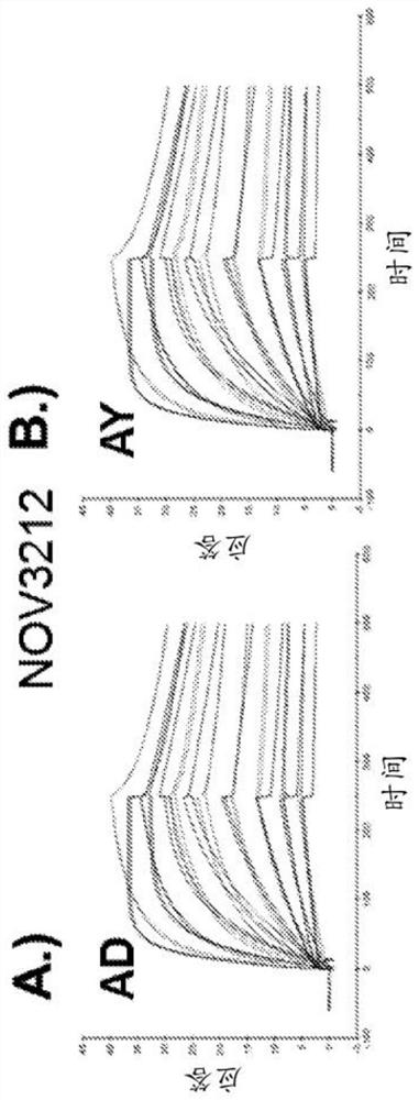 Hepatitis b antibodies