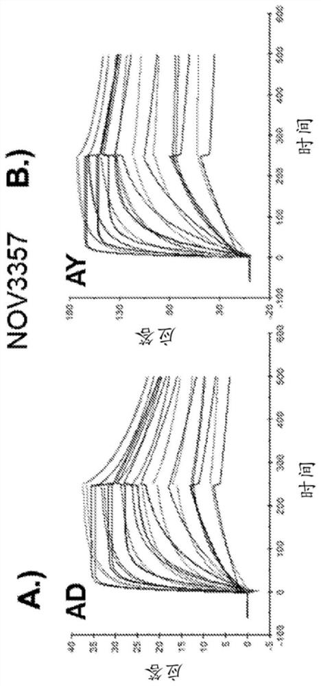 Hepatitis b antibodies