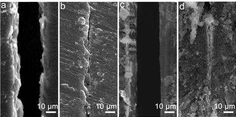 A preparation method for a stable super-amphiphobic coating with dual repair functions of micro-nano structure and chemical composition