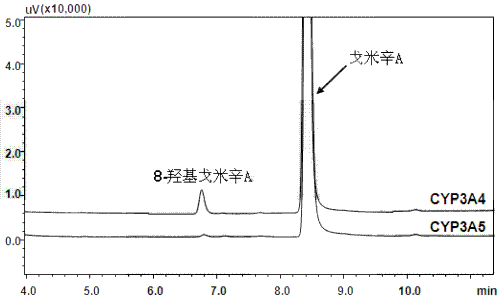 A kind of cytochrome cyp3a4 enzyme specific probe reaction and its application