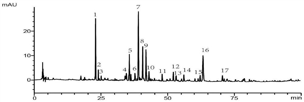 Detection method of fingerprint spectrum of double-flower sangju drink
