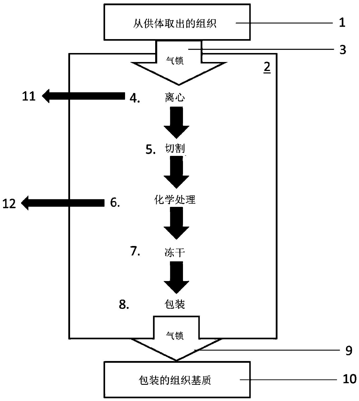 Automated method for producing human or animal tissue for transplants