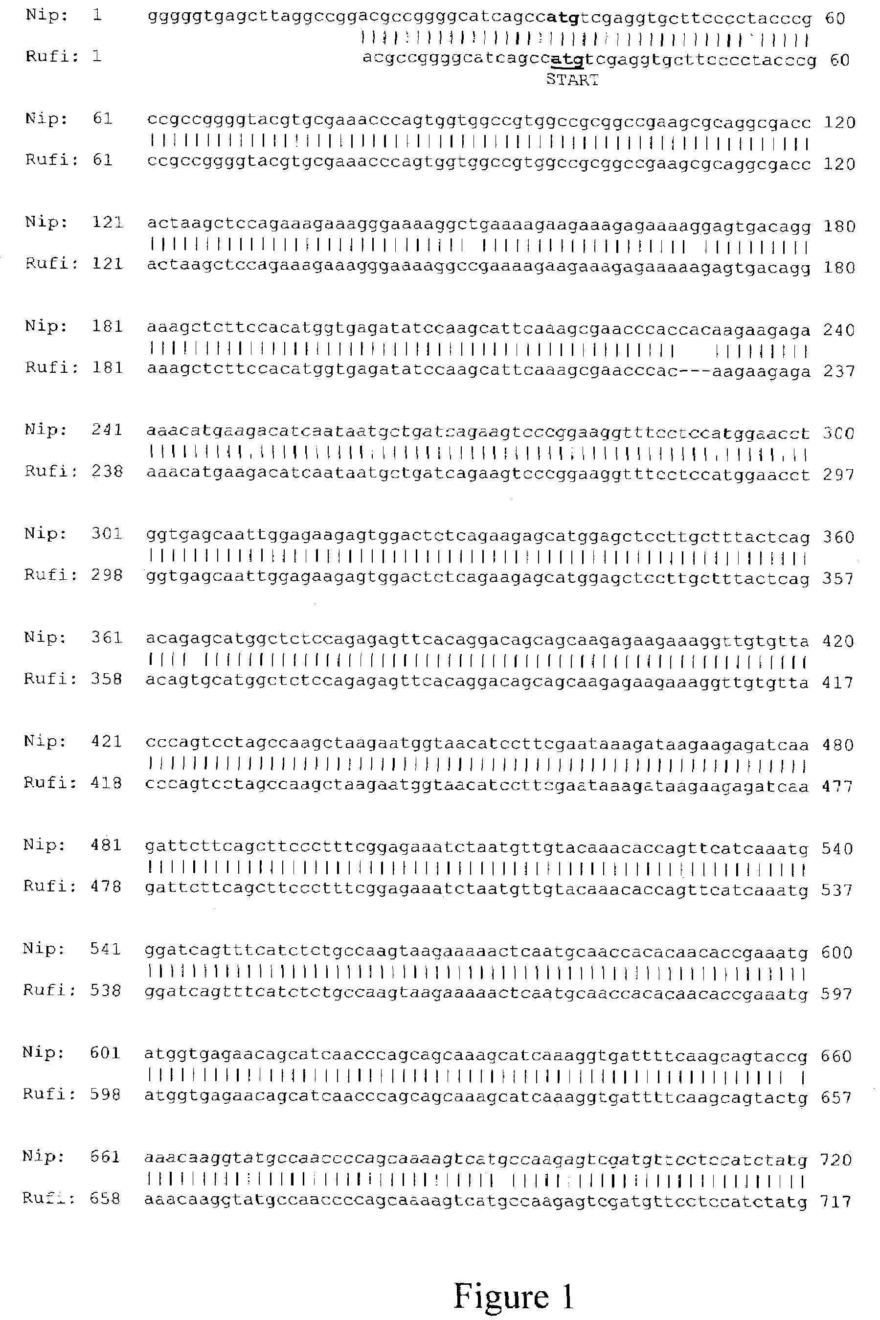 EG1117 Polynucleotides and uses thereof