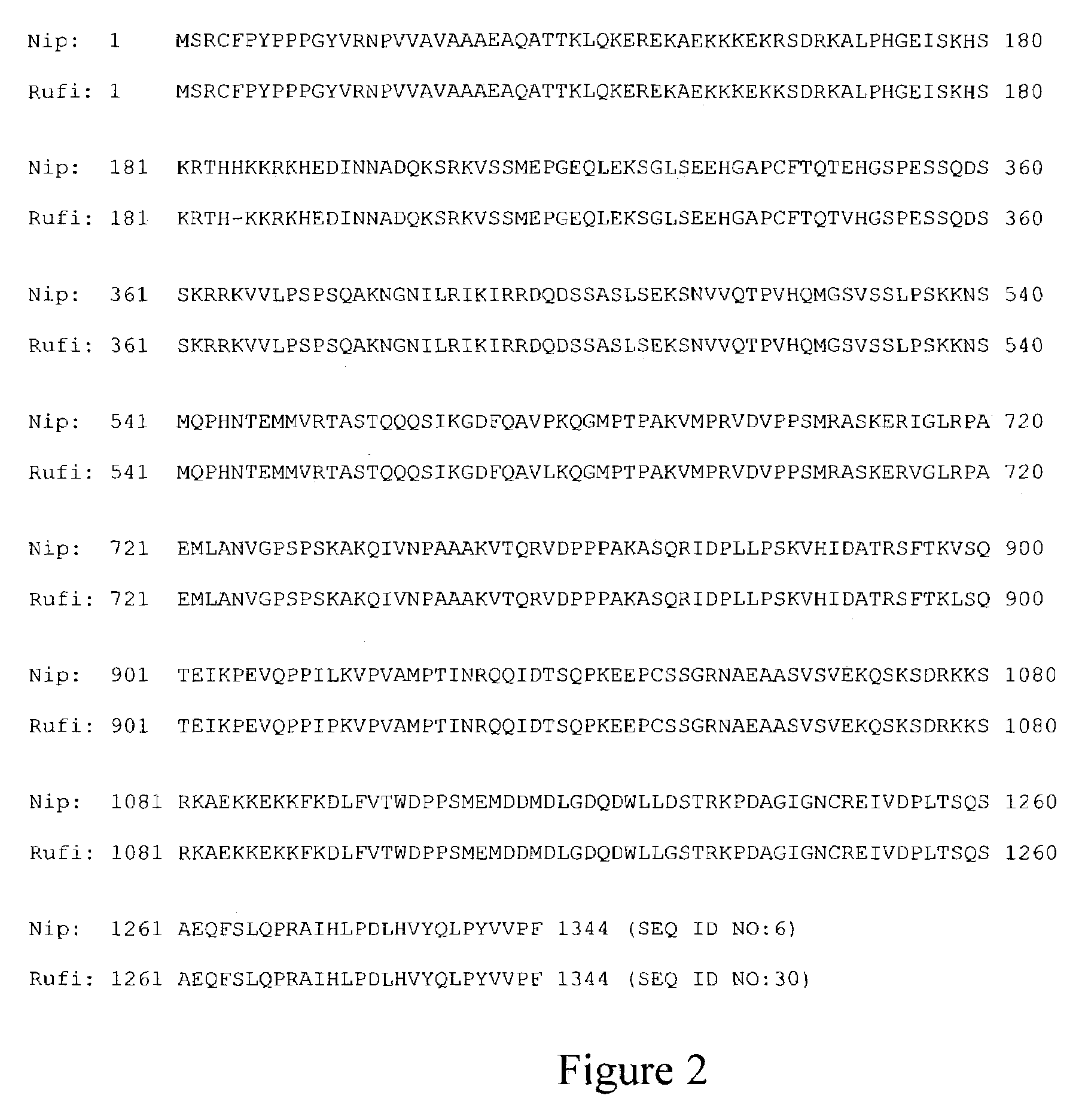 EG1117 Polynucleotides and uses thereof