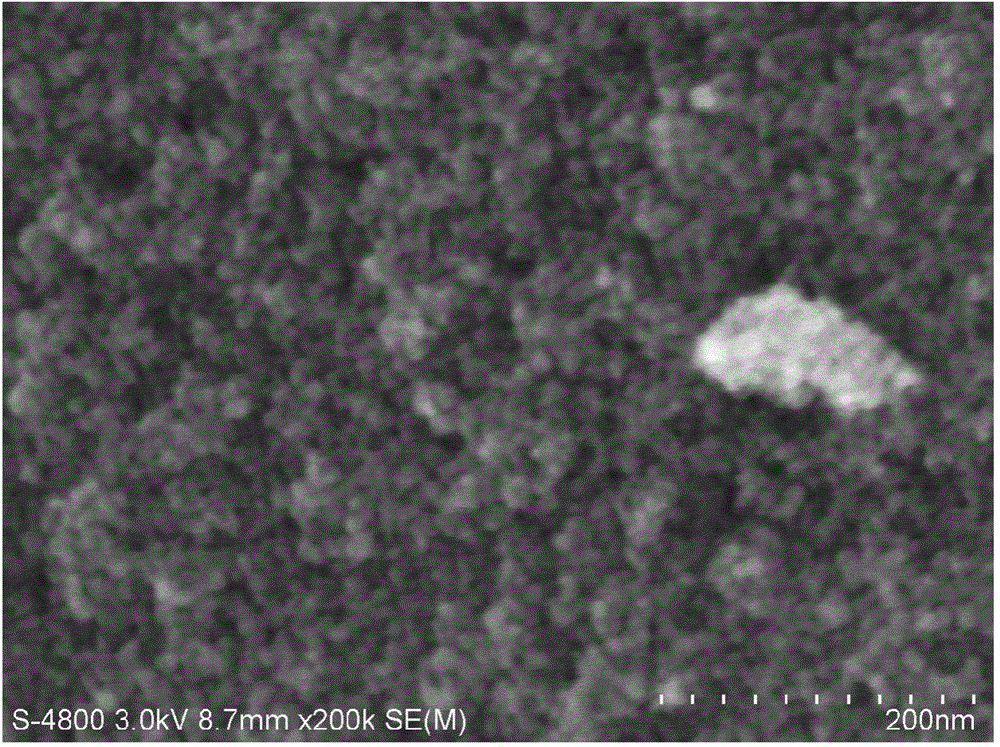 Preparation method and application of metal-doped titanium dioxide material