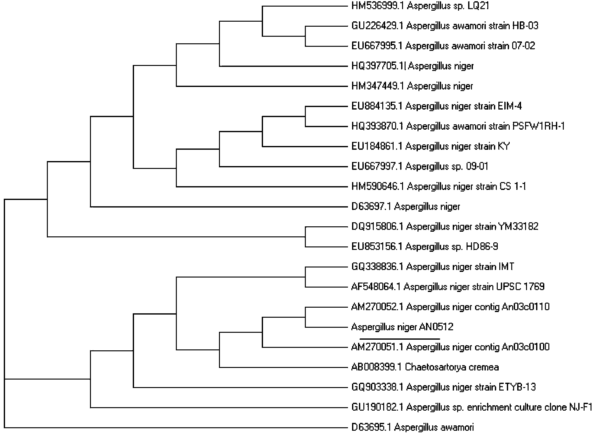 Lipase made of aspergillus niger strains, and producing method and utilization thereof