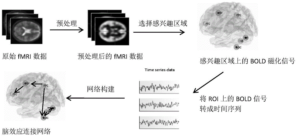 Artificial immune method for constructing brain effect connection network from fMRI data