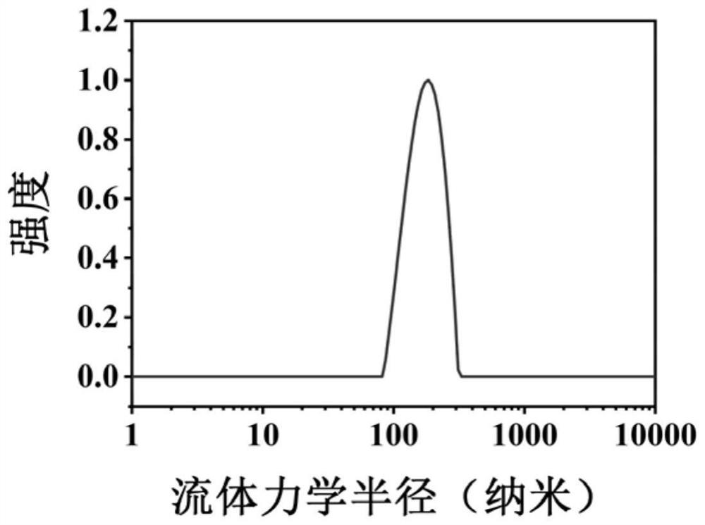 Multifunctional anti-tumor polymer drug as well as preparation method and application thereof