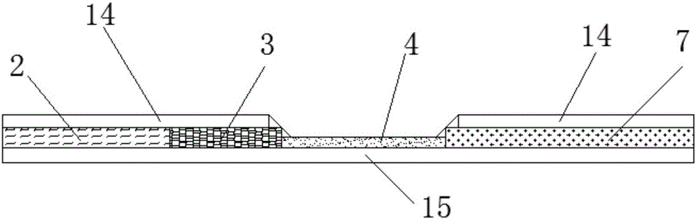 Fluorescent immunochromatography test paper for detecting aflatoxin B1