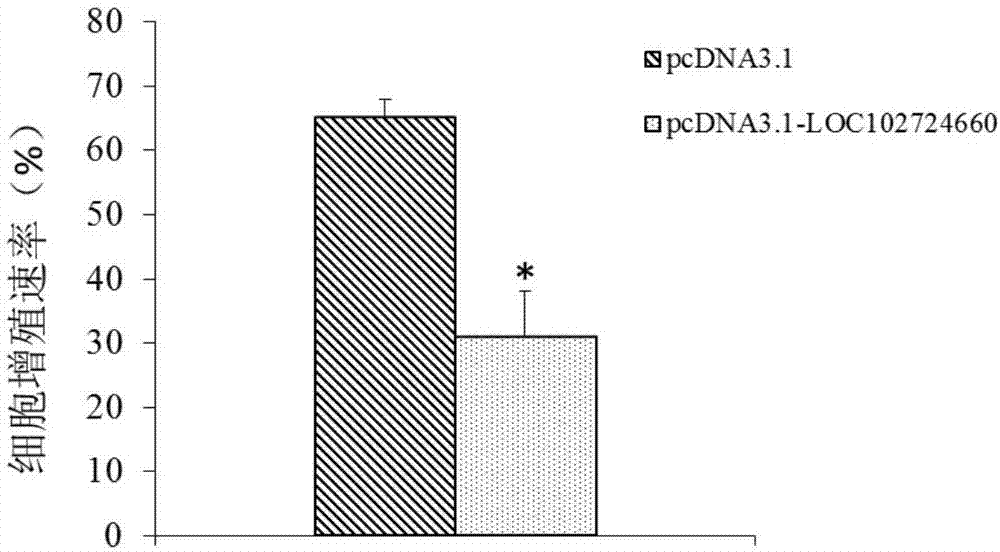 Long-chain non-coding RNA marker for diagnosing lung adenocarcinoma