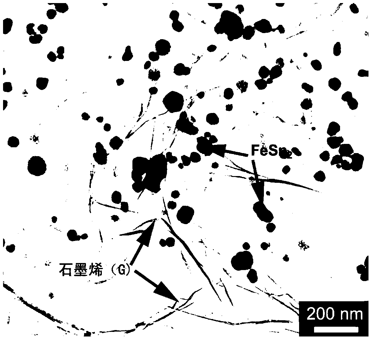 Transition metal tin compound/graphene composite material and preparation method and application thereof