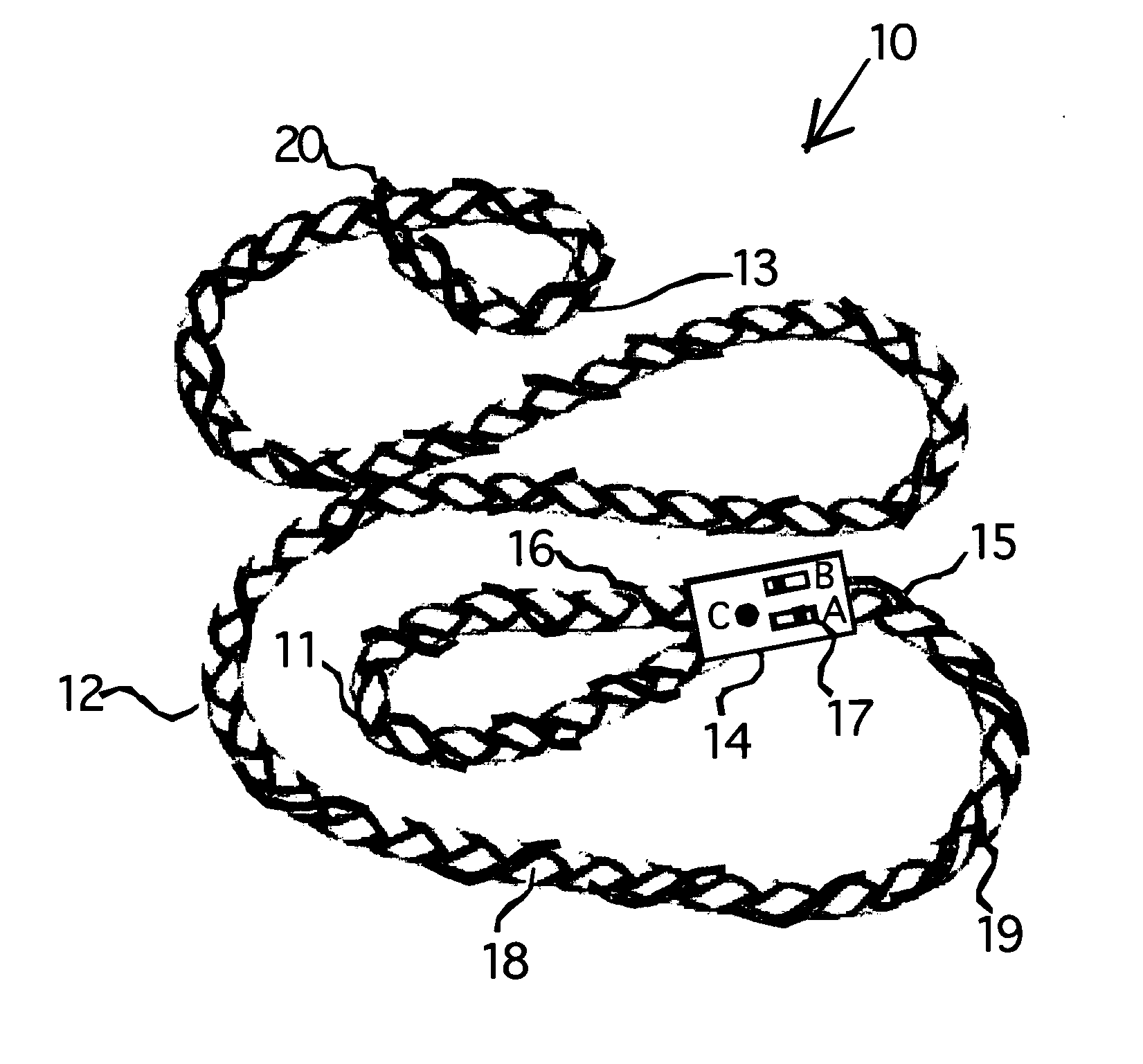 Electroluminescent braided pet leash