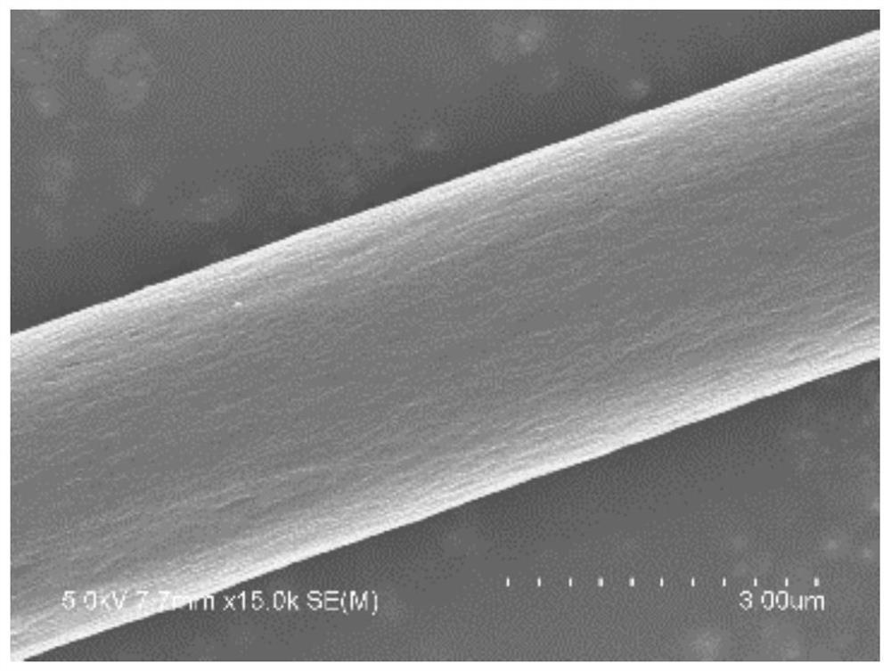 A kind of carbon fiber modification method and product thereof