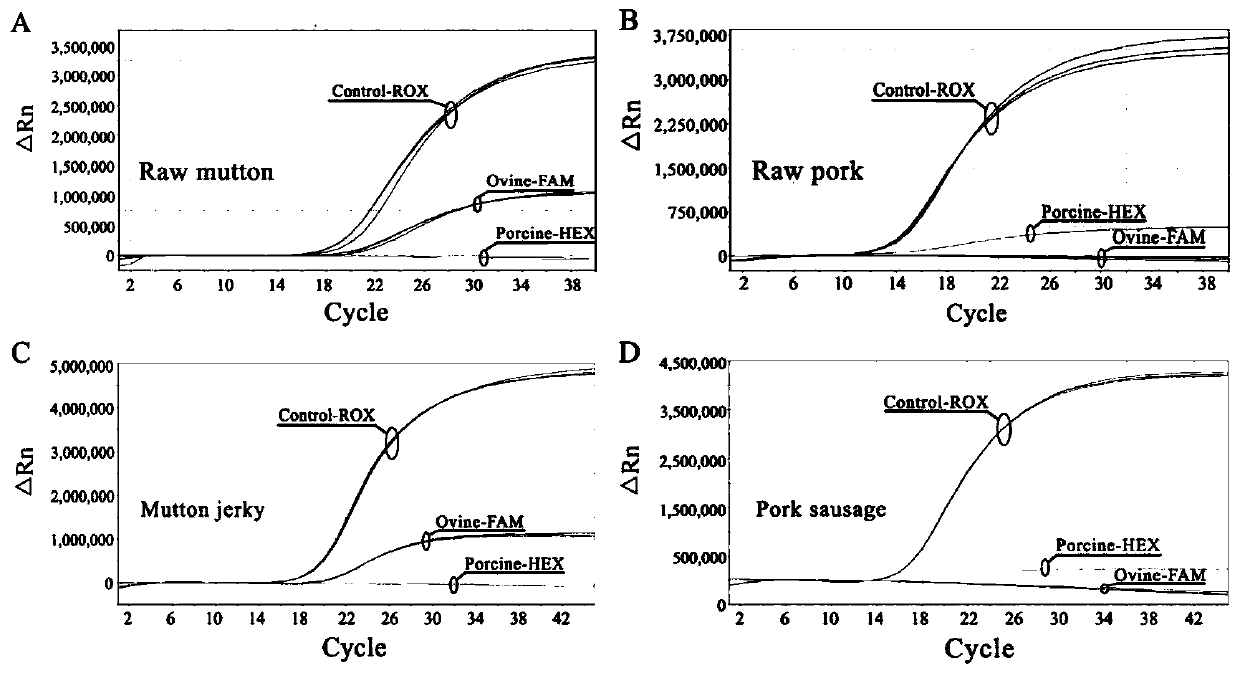 Primer and probe for synchronous detection of sheep-origin and pig-origin in meat product and detection method thereof