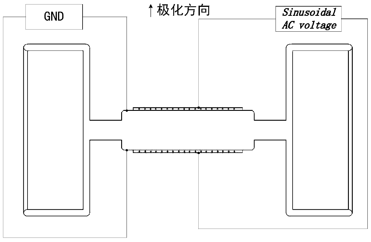 Ultrasonic direct drinking water purifier and working method thereof