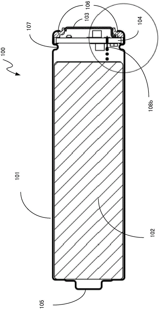 Secondary electrochemical battery sealing body with encapsulated type chip shield structure and battery