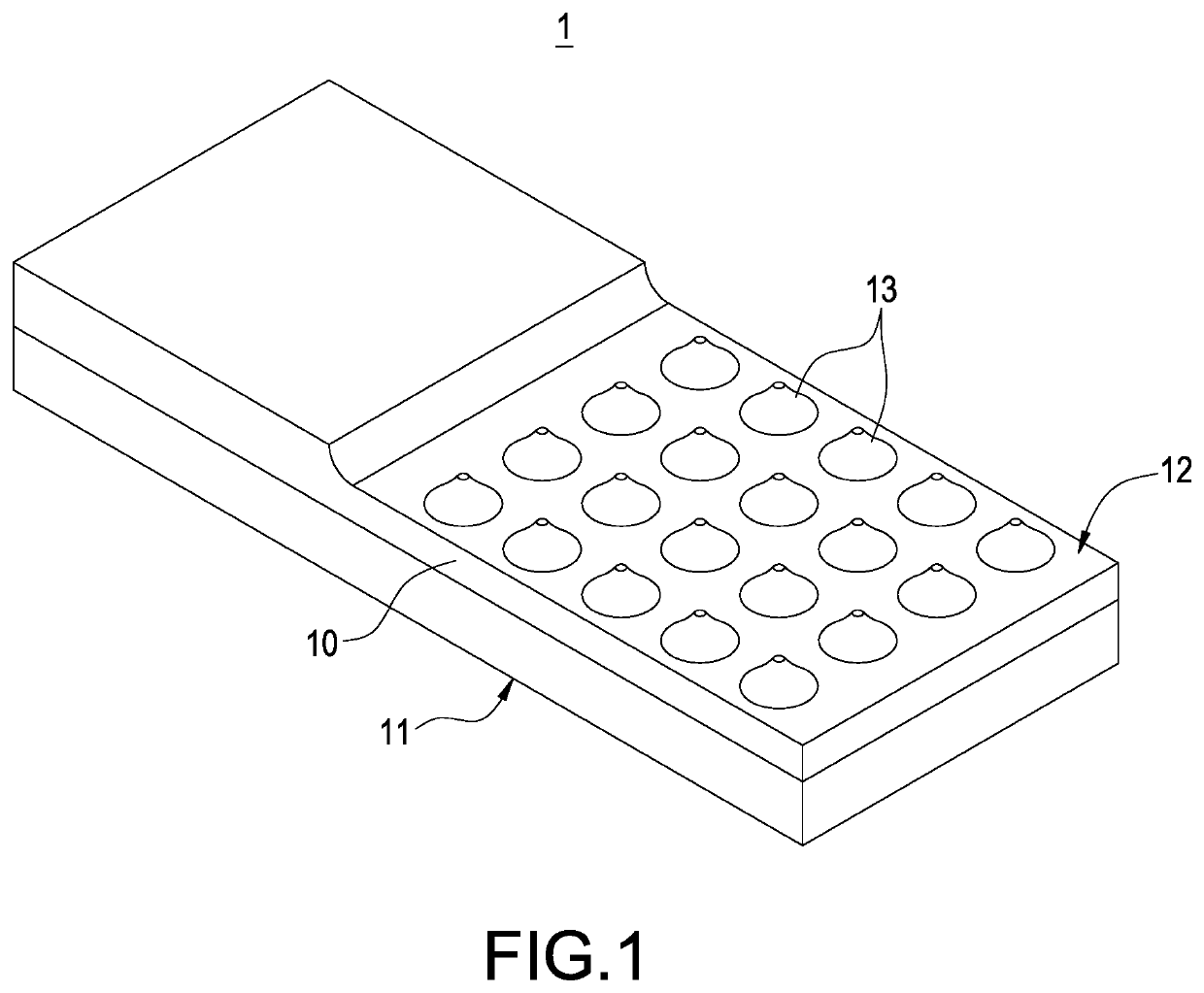 Heat pipe with non-condensable gas