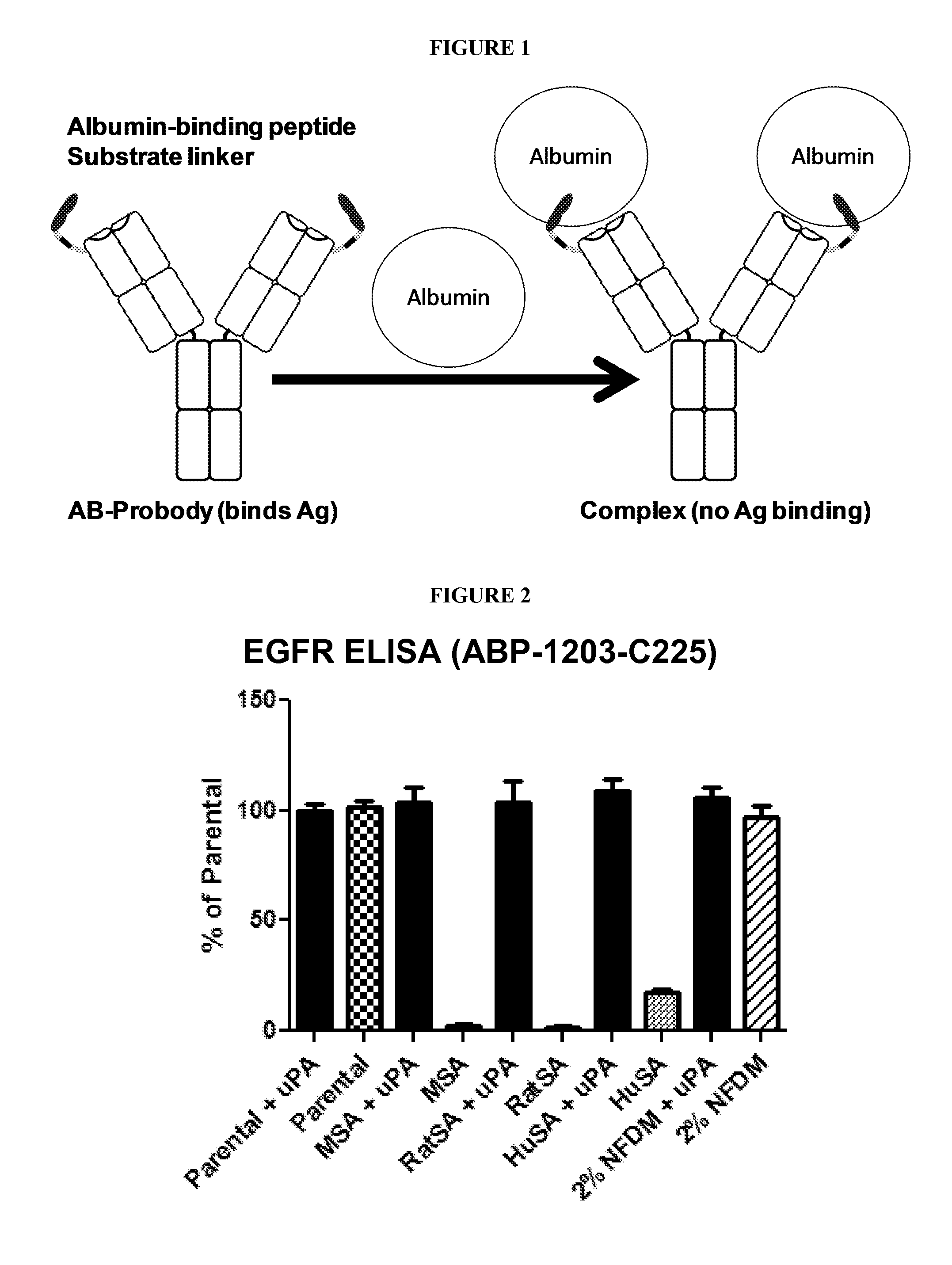 Activatable Antibodies Having Non-Binding Steric Moieties and Methods of Using the Same