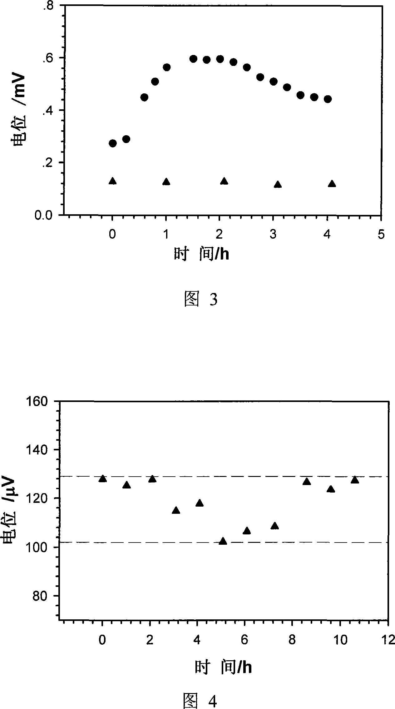 Silver/silver chloride powder solid electrode and preparation method