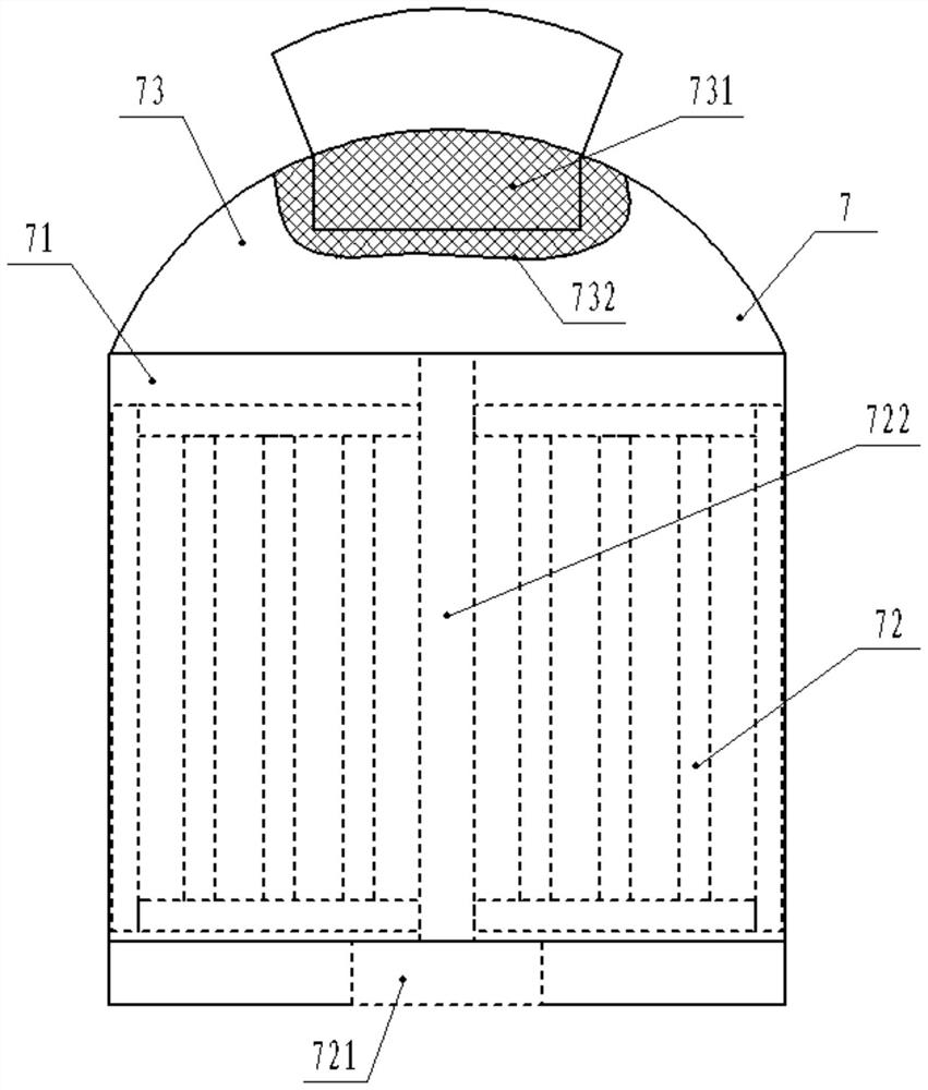 Preparation process and preparation device of carex baccans nees meal replacement nutrition powder