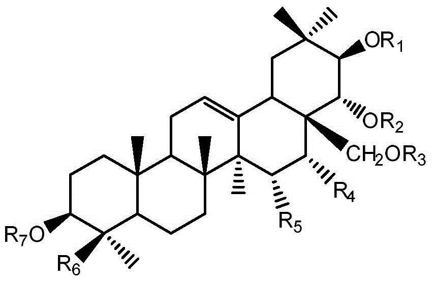 Triterpenoid saponin-type compounds of shinyleaf yellowhorn, as well as preparation method and application of compounds