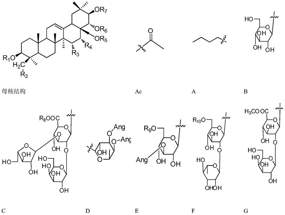 Triterpenoid saponin-type compounds of shinyleaf yellowhorn, as well as preparation method and application of compounds