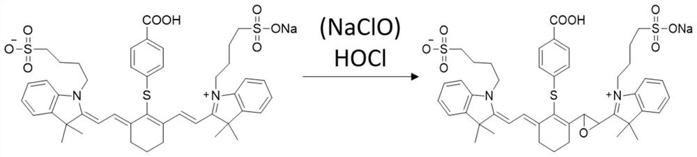 An Intracellular Detection Method Based on Dual Excitation Ratiometric Upconversion Fluorescent Probes