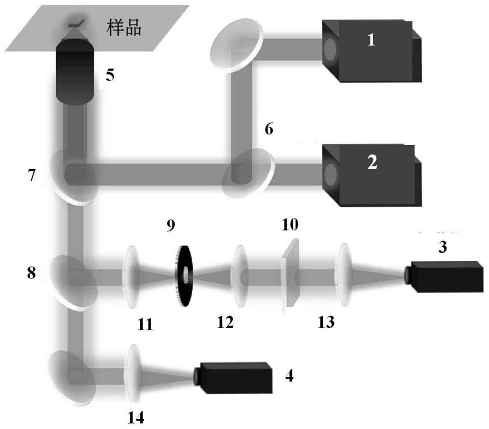 An Intracellular Detection Method Based on Dual Excitation Ratiometric Upconversion Fluorescent Probes