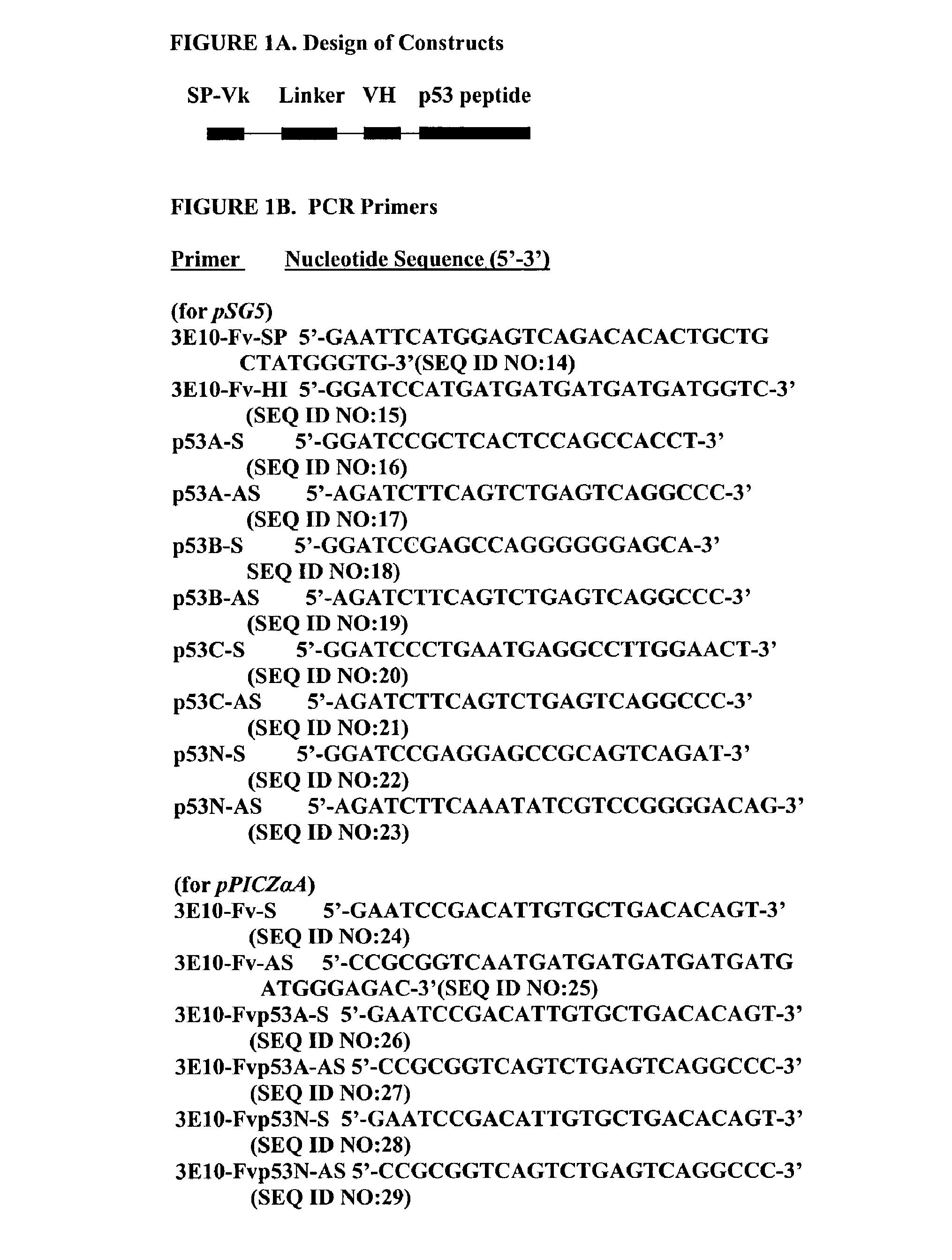 Delivery system using MAB 3E10 and mutants and/or functional fragments thereof