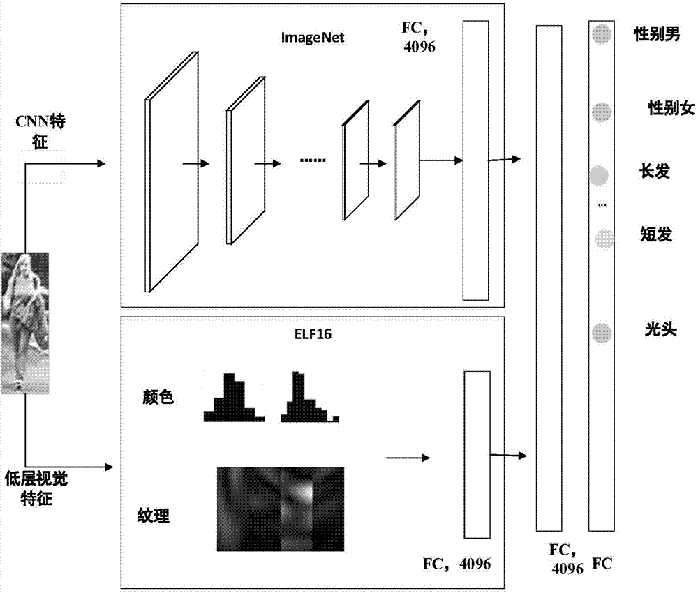 Method for pedestrian weight recognition in video surveillance scene