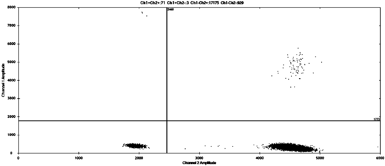 Dual digital PCR (Polymerase Chain Reaction) method for quantitatively detecting turkey derived ingredients