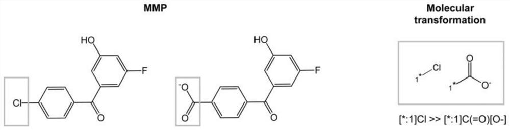 Lead compound optimization method based on pharmaceutical chemistry conversion rule