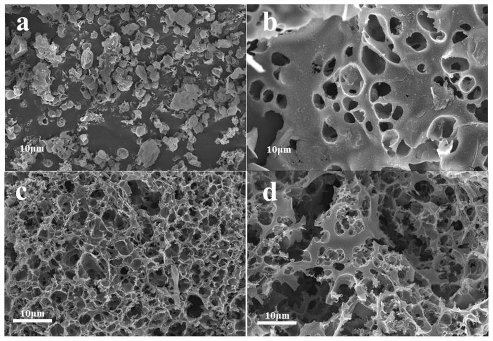 Trichoderma-regulated biomass porous activated carbon as well as preparation method and application thereof