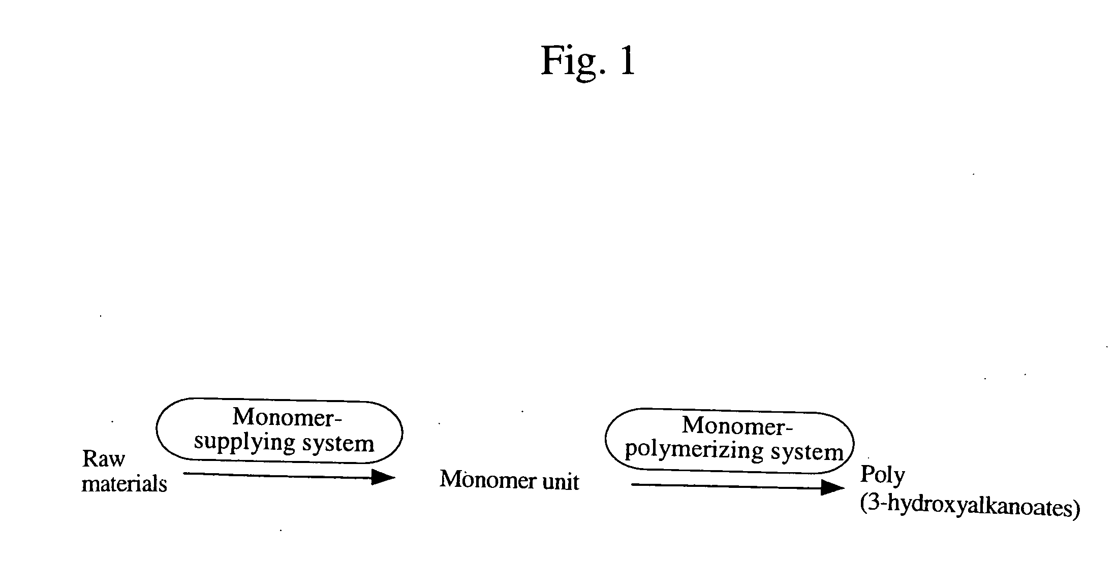 Process for producing biodegradable polyester