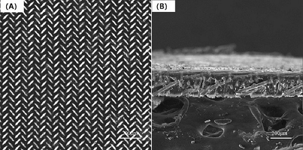 Composite electrode material and preparation method and application thereof