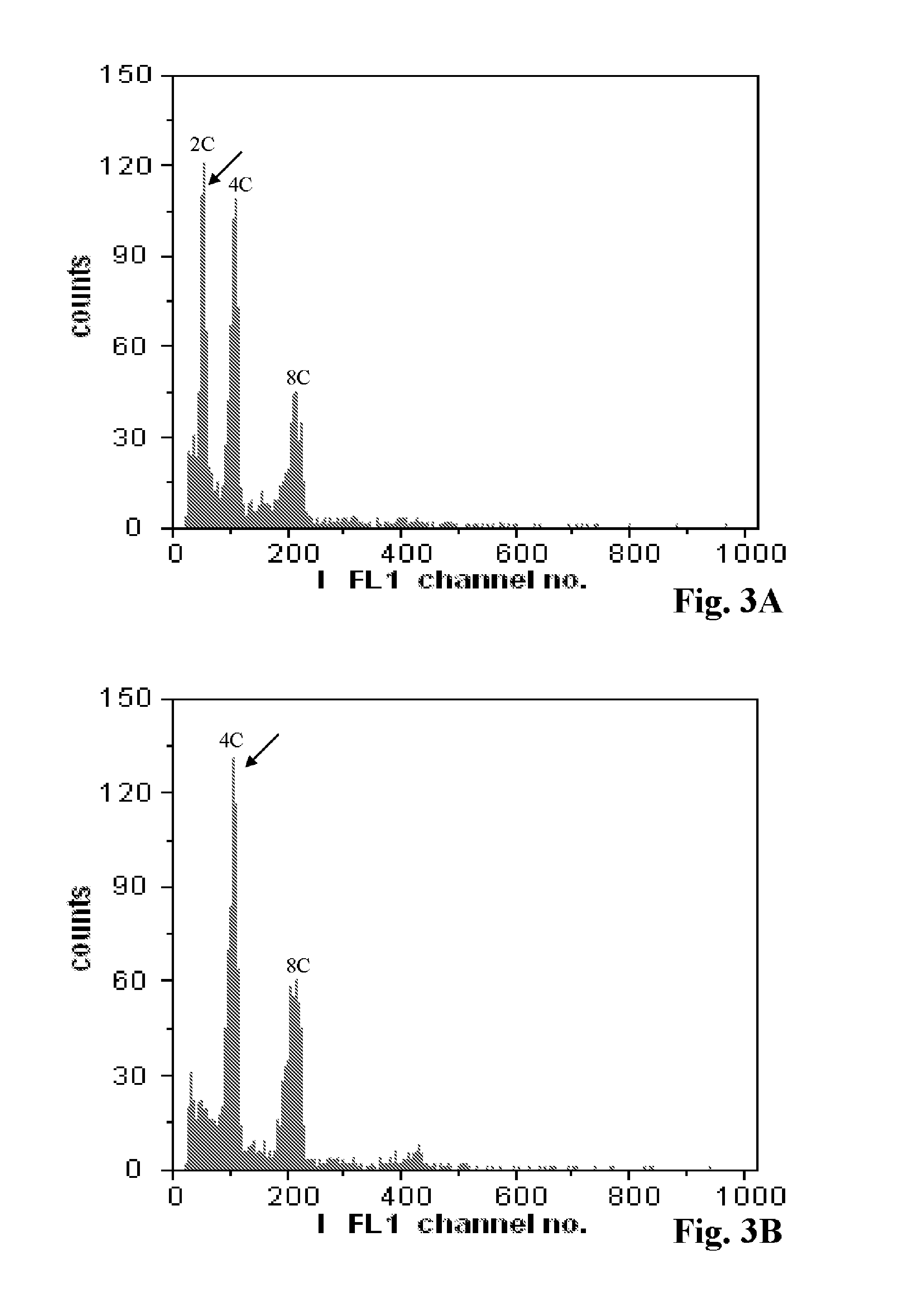 Method for producing polyploid plants of orchids