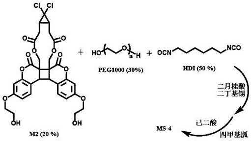 A kind of response feedback type mechanochromic polymer material and preparation method thereof