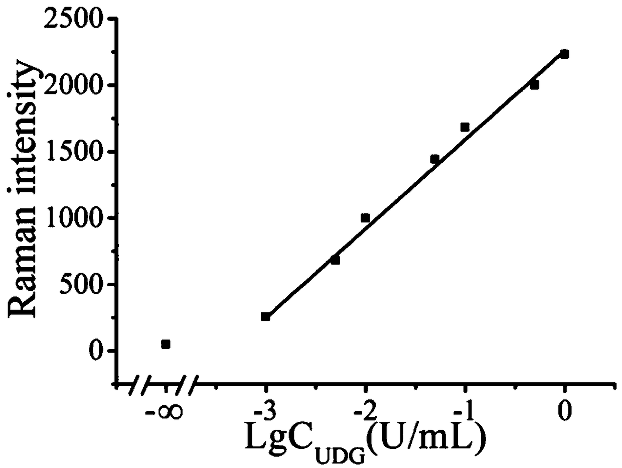 Biological sensor for detecting activity of uracil DNA glycosylase (UDG) and preparation method of biological sensor