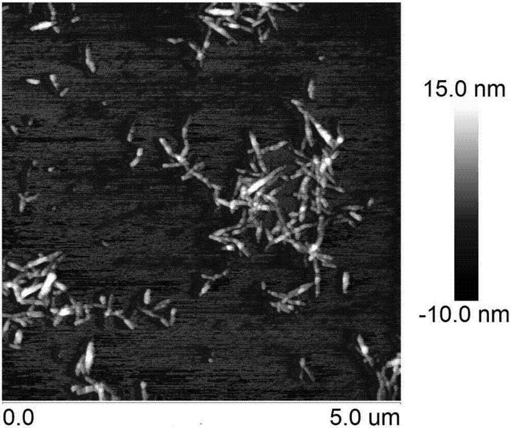 Method for preparing nano cellulose from plant fibers