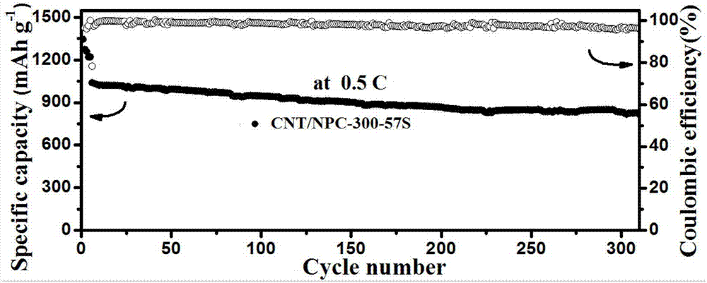 Ionic polymer derivative carbon material used as lithium-sulfur battery positive electrode material