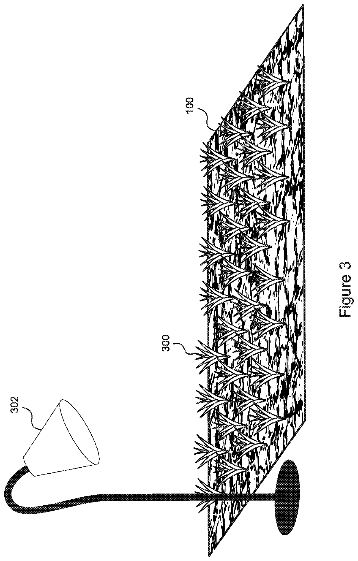 Apparatus and method for establishing and growing vegetation in arid environments