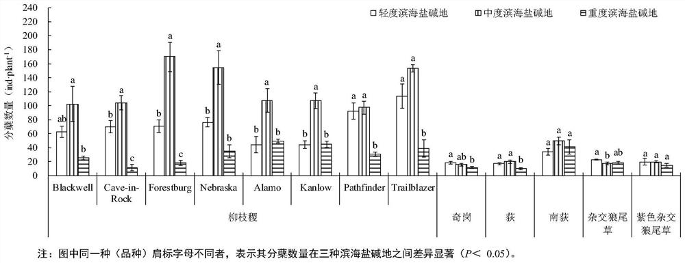 A method of planting energy grass or ornamental grass in coastal saline-alkali land