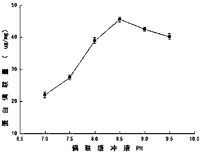 Kit and method for extracting and purifying escherichia coli DNA from complicated sample