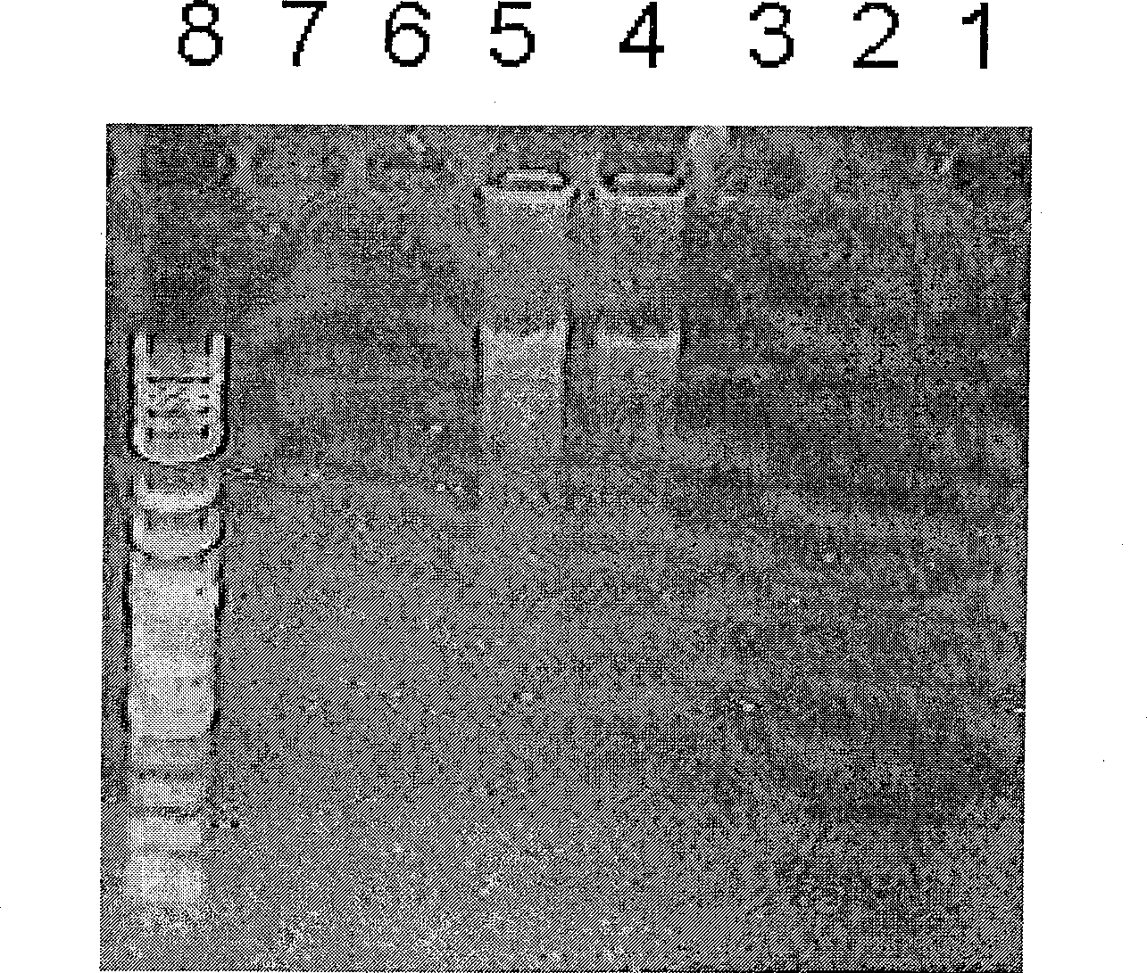 Method for detecting protein or protein complex by identifying a plurality of epitopes synchronously