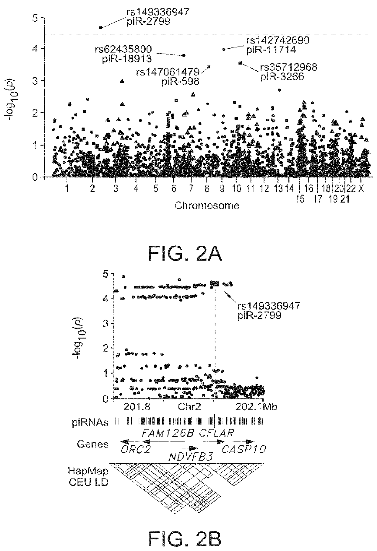 Compositions and methods of using piRNAS in cancer diagnostics and therapeutics